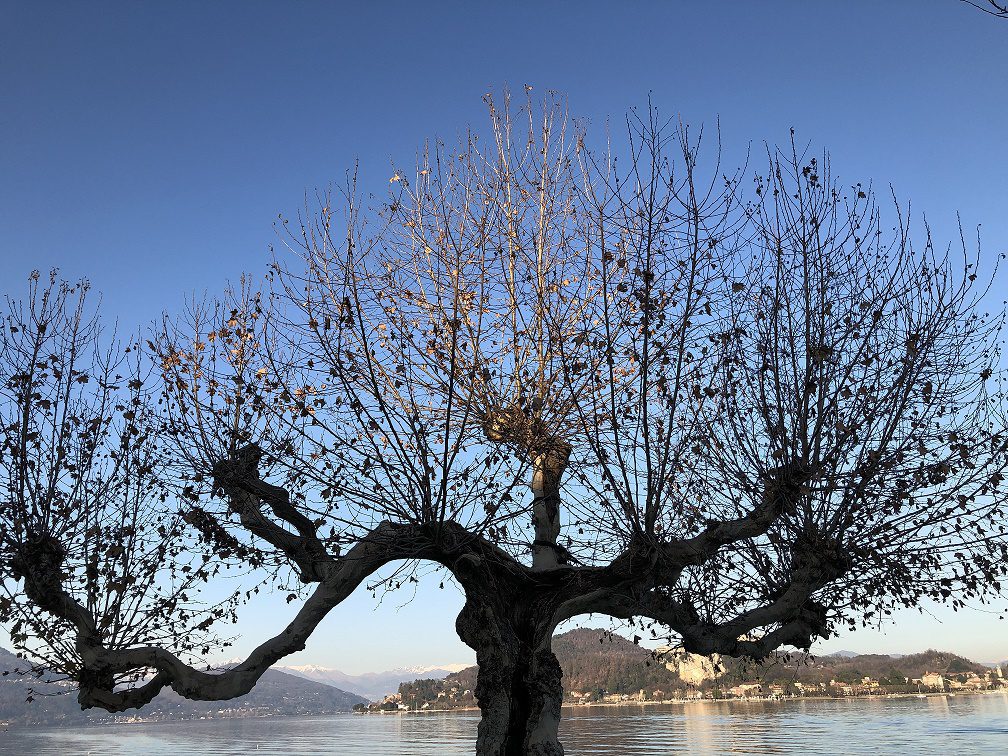 Blog-Xpresso-February-2020-Photo-Fiorenza-Mella
