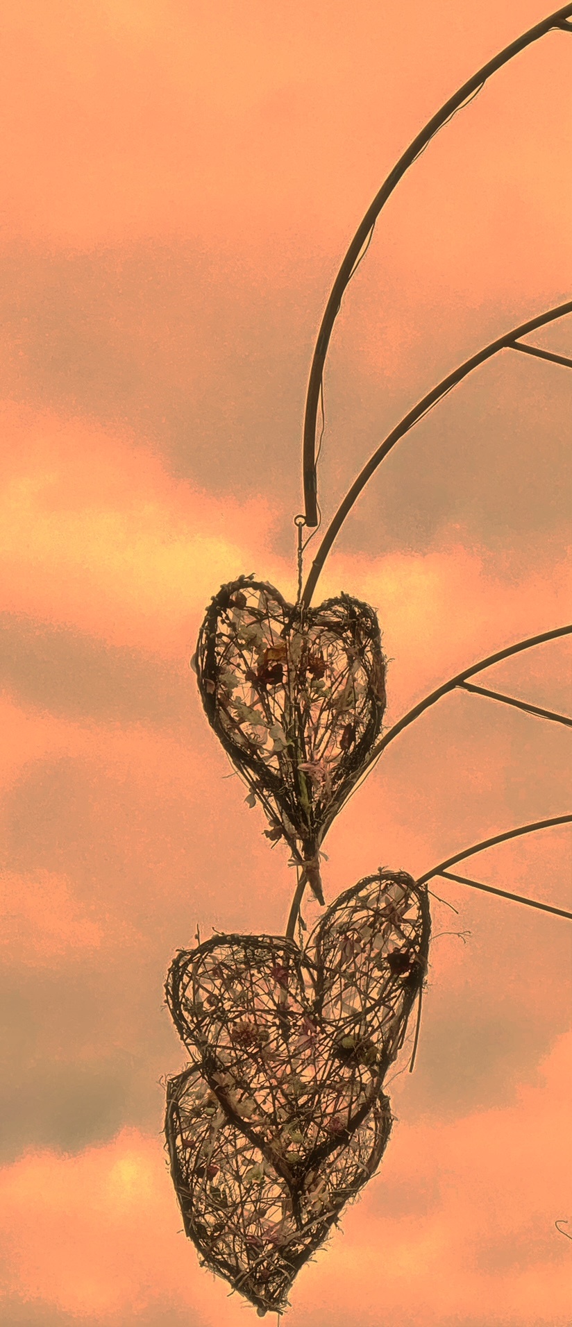 Love-for-technology